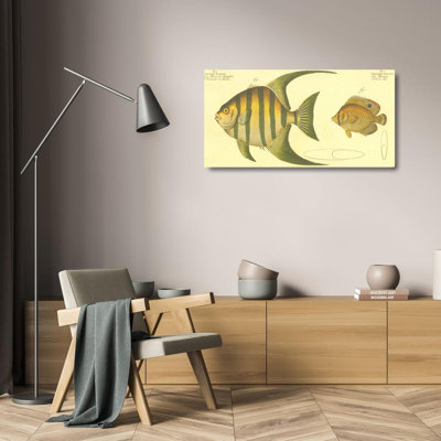 Pen Fish MCG-B843b