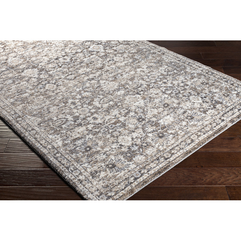 Evelien Oriental Indoor Rug, Rectangle 2' x 3'