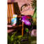 Flamant rose de jardin