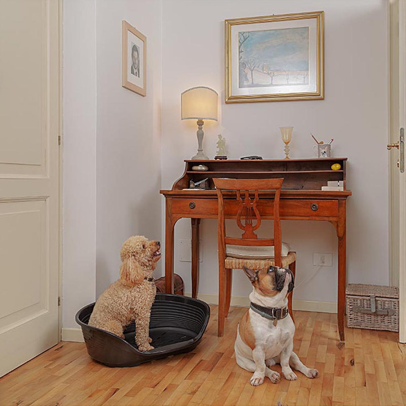 Zyaire Oval Pet Bed, 33.5cm H x 111cm W x 80.5cm D, Grey
