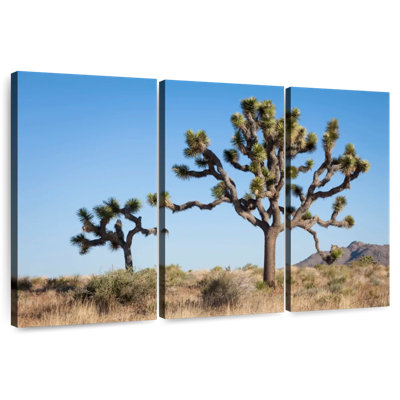 Parc national Harnek Joshua Tree