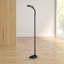 Lampe sur pied ajustable Lavish Home
