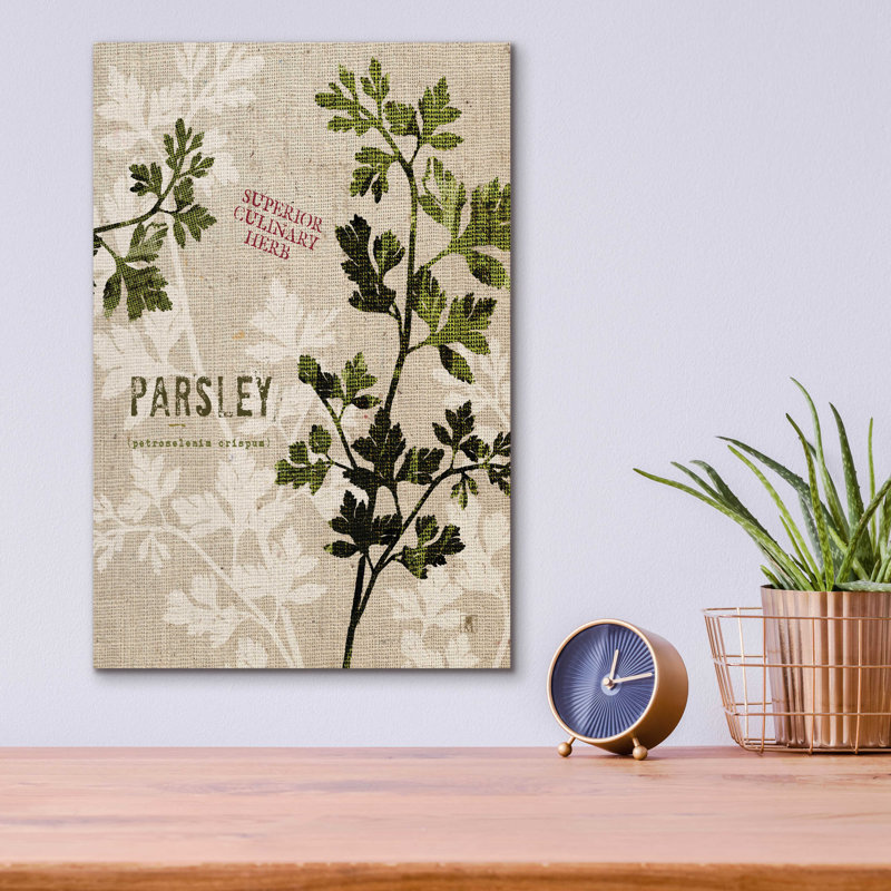 «Persil biologique - Herbe culinaire supérieure» par Studio Mousseau, H 16 po x l 12 po x P 0,13 po