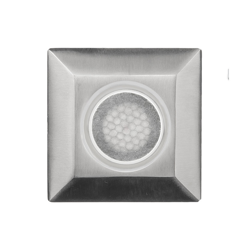 LED Well Light, Stainless Steel