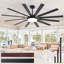 Ventilateur de plafond 72 pouces avec lumière et télécommande, grand ventilateur intérieur / extérieur avec télécommande, ventilateur à 10 pales pour patio