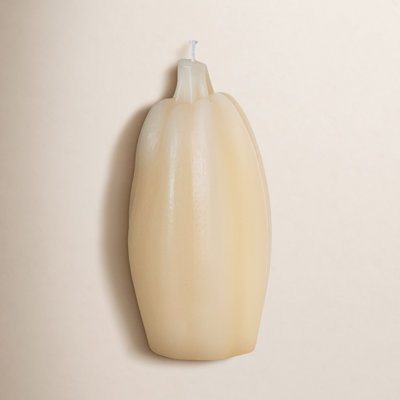 Novelty Candle