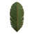 Natural Green selected