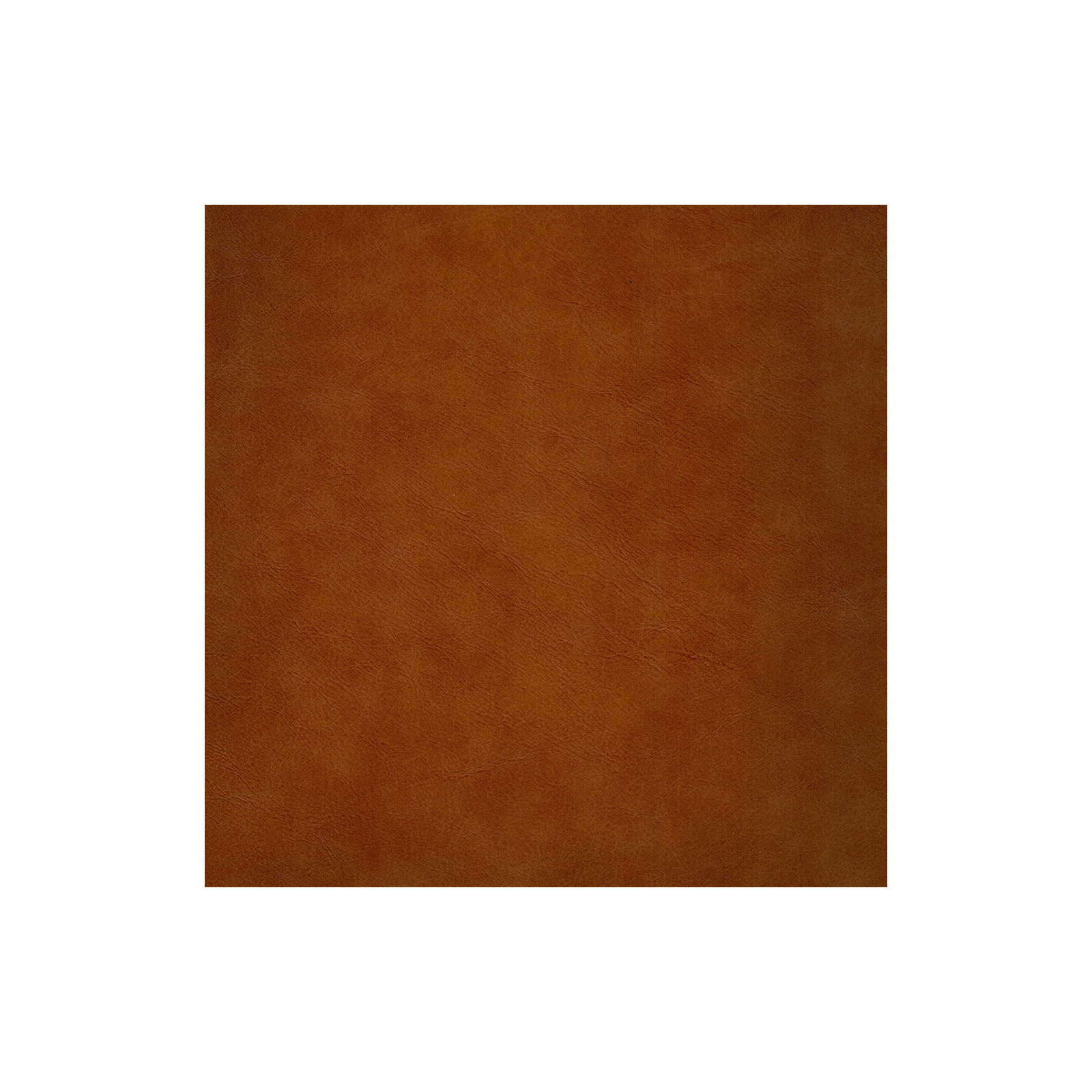 Cimmaron Top Grain Leather Sofa Couch