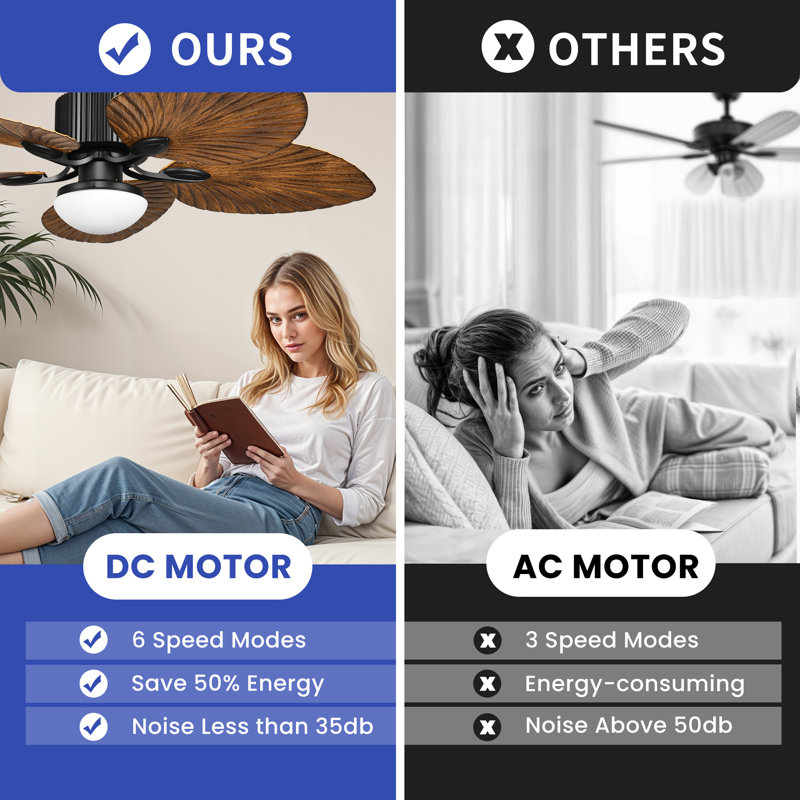 Jacksonville 52'' Ceiling Fan with LED Lights