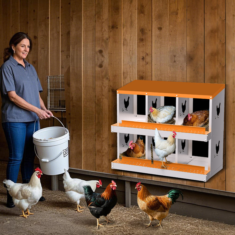 Chicken Coop, 15cm H x 92.3cm W x 42.5cm D, White/Blue