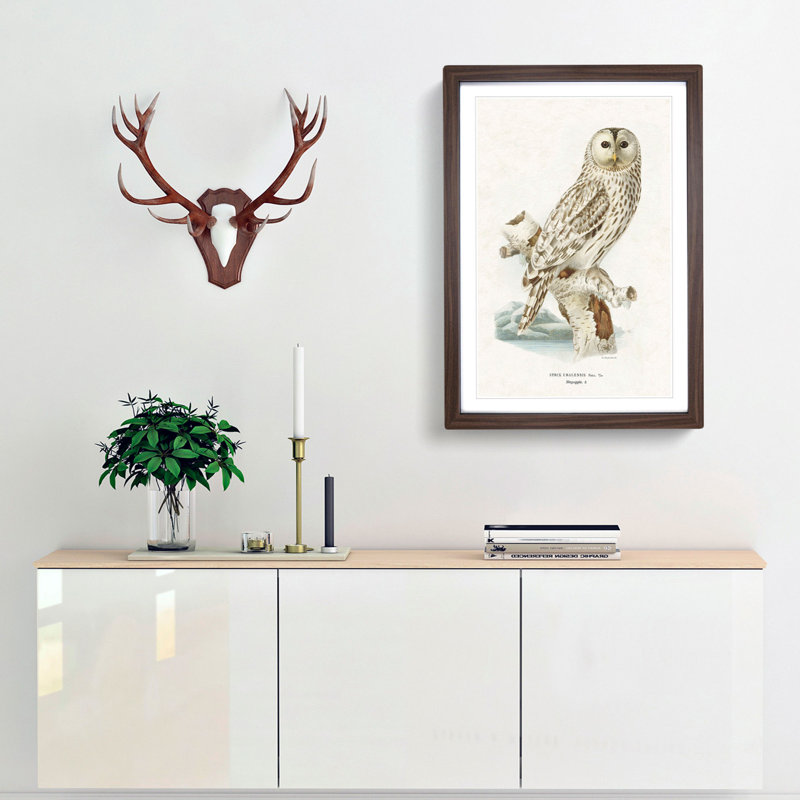Ural Owl by Von Wright - Picture Frame Graphic Art Print, Walnut Framed, 65cm H x 48cm W x 2cm D