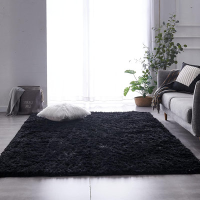 Siedentopf Solid Colour Shag Area Rug