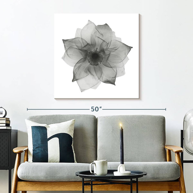 Harnek Lotus Flower X Ray