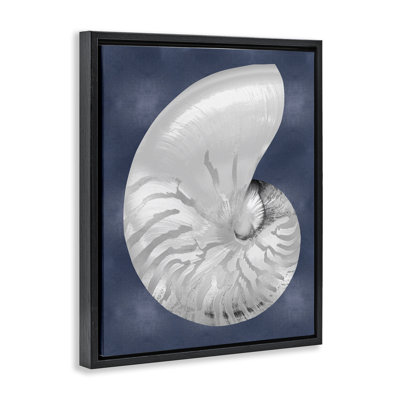 «Nautilus rayé sur toile flottante» par Caroline Kelly