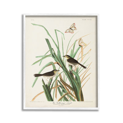 TraditionalNatureStudyGicleeArtbyJohnJamesAudubon