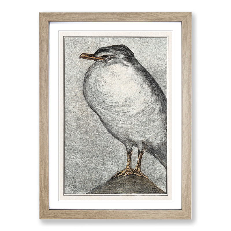 Herring Gull by Theo Van Hoytema - Framed Print, 65cm H x 48cm W x 2cm D, Oak Framed