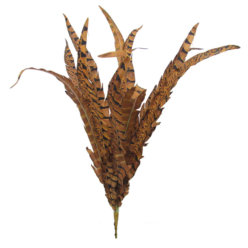 Faux jet de plumes, Brun