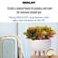 Idealist Honeycomb Style Bowl Planter With Legs, Round Indoor Plant Pot Stand For Indoor Plants-133617517-133617519