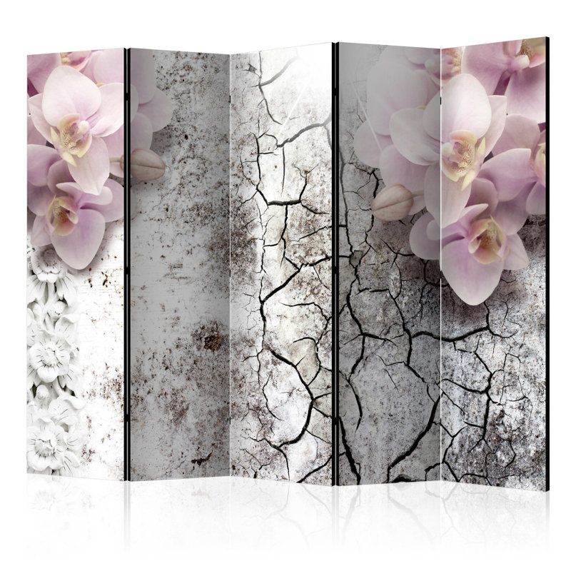 Portnoy 225 cm W x 172 cm H 5 - Panel Solid Wood Folding Room Divider