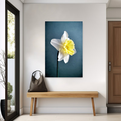 Contemporary Art Elegant Nature Flower Wall Art by Angelo Cerantola - Wrapped Canvas Print