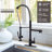 Spring Pull Down Single Handle Kitchen Faucet with Deck Plate and Handles-103398318