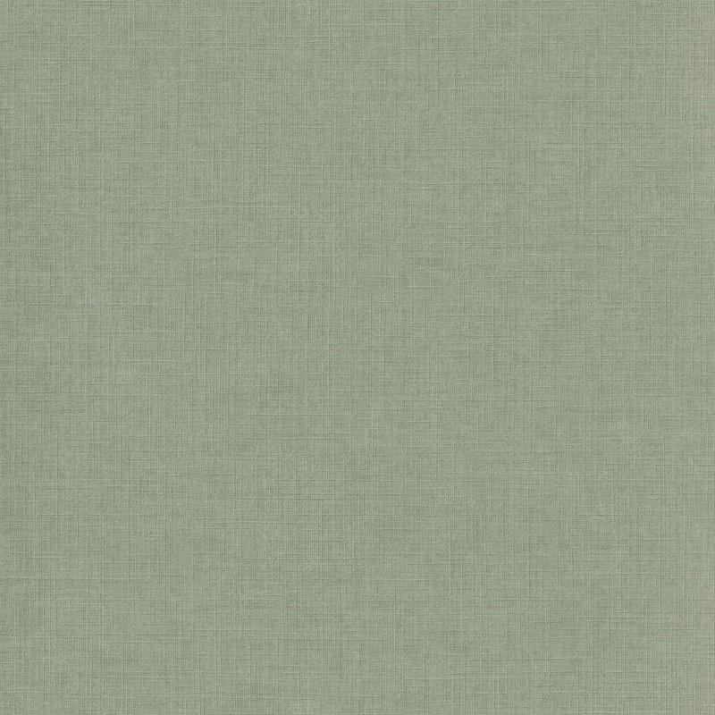 Rouleau de papier peint uni Inia, Vert forêt