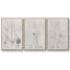 Antique Turpin Botanical I 3 pièces-97760074-97760077