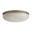 Elara Flush Mount-1038339399