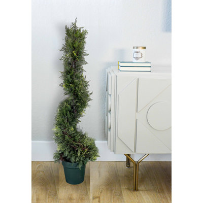 Topiaire de buis 36 po en pot