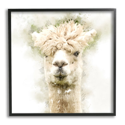 " Alpaca Portrait Abstract Animal "