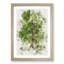 Leaf Lines - Framed Print-56741355-56741356