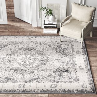 New Cozy Vintage-Looking Entryway Rug - The Little by Little Home