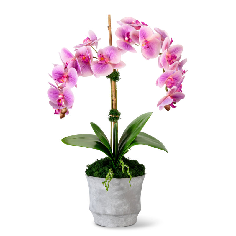 Rosalyn Realtouch Orchid in Cement Vase, Purple