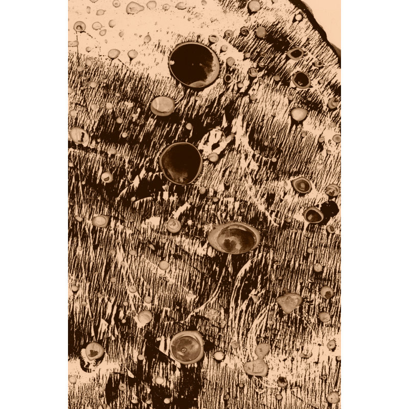 Wrapped Canvas Print, 91.44 cm H x 60.96 cm W