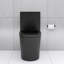 Toilette allongée une pièce à double chasse 1,1 / 1,6 GPF noir mat 1000G
