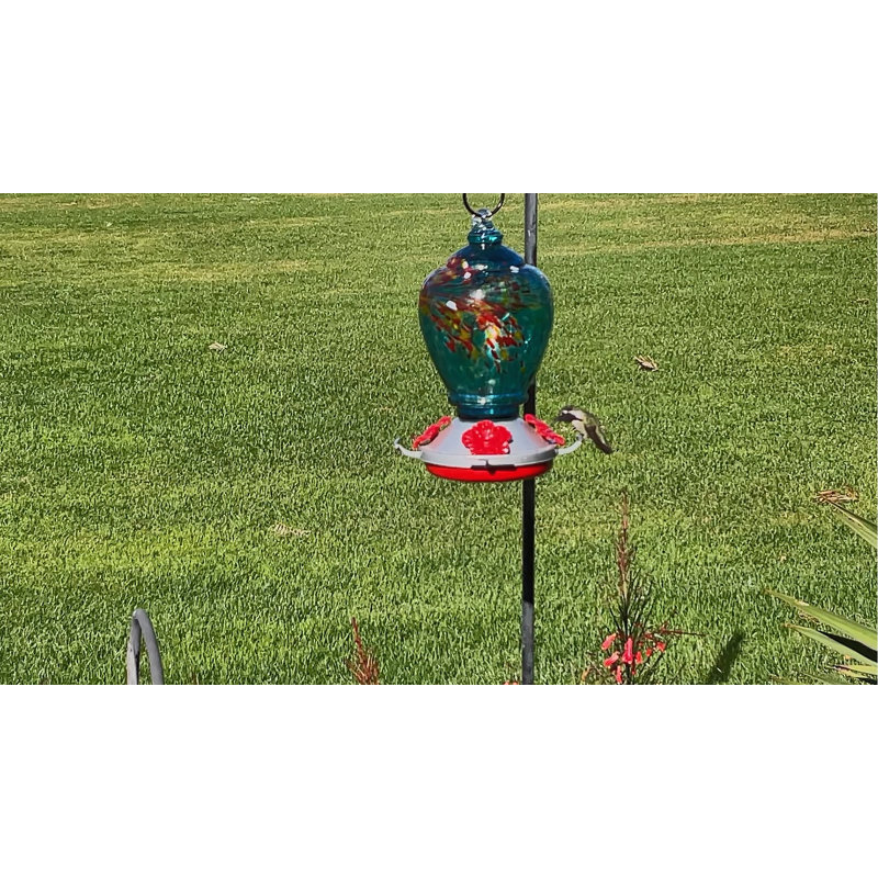 Mangeoire d'oiseaux pour colibris