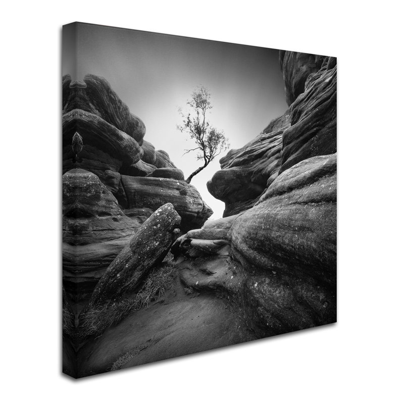 « difficulté », reproduction de photo sur toile tendue, H 14 po x l 14 po
