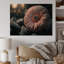 Une fleur de gerbera rose en hiver III - Impression sur toile-38037450-38037449