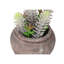 Plante artificielle