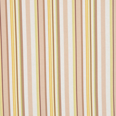 Allure 100% Cotton Fabric