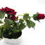 Natsue Hydrangea Arrangement in Vase