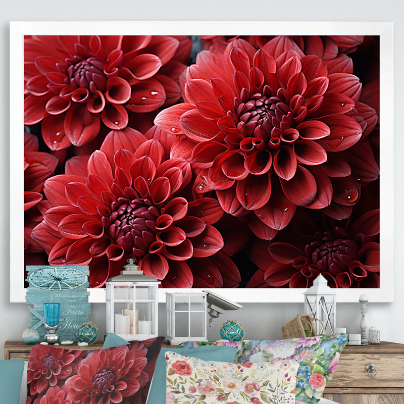 «Crimson Mums Elegance Blooms» - art mural sur toile Mums, H 30 po x l 40 po x P 1,5 po, Cadre simple blanc