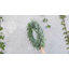 Couronne d'eucalyptus givré artificiel-689875724