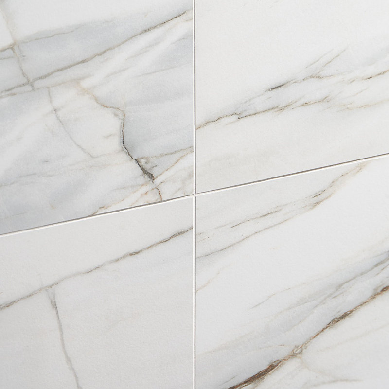 Saroshi 11.81 in. x 23.62 in. Matte Porcelain Marble Look Floor and Wall Tile (15.5 Sq. Ft. / Case), Carpaccio