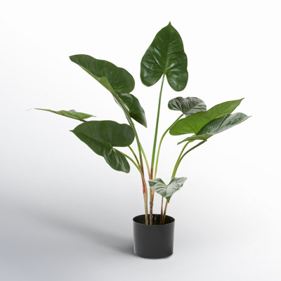 28" Plant in Pot