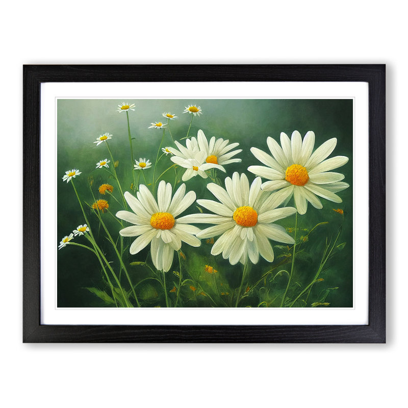 Daisy Flower - Framed Print, Black, 46cm H x 64cm W x 2cm D