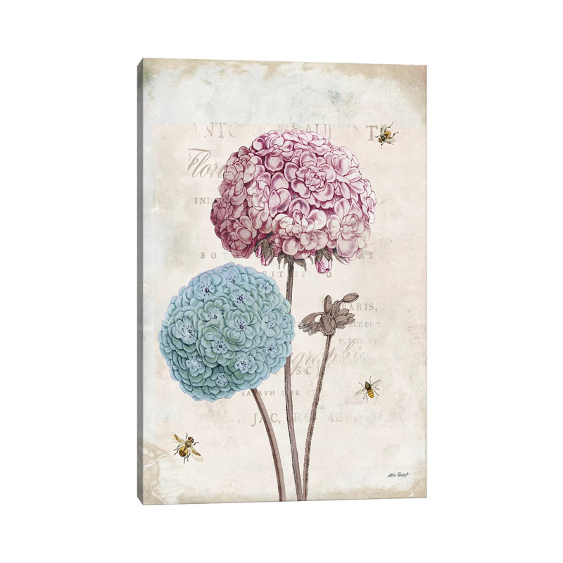 Geranium Study, Pink Flower II by Katie Pertiet - Wrapped Canvas Painting, 30.48 cm H x 45.72 cm W