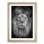 The Proud Lion in Abstract - Picture Frame Graphic Art Print-55763368-55763371
