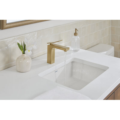 Avian Single Hole Bathroom Faucet with Drain Assembly