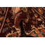 Tapis marron Nitta